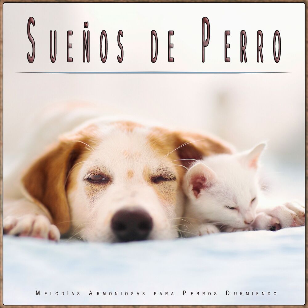 Picture of Sueños de Perro: Melodías Armoniosas para Perros Durmiendo