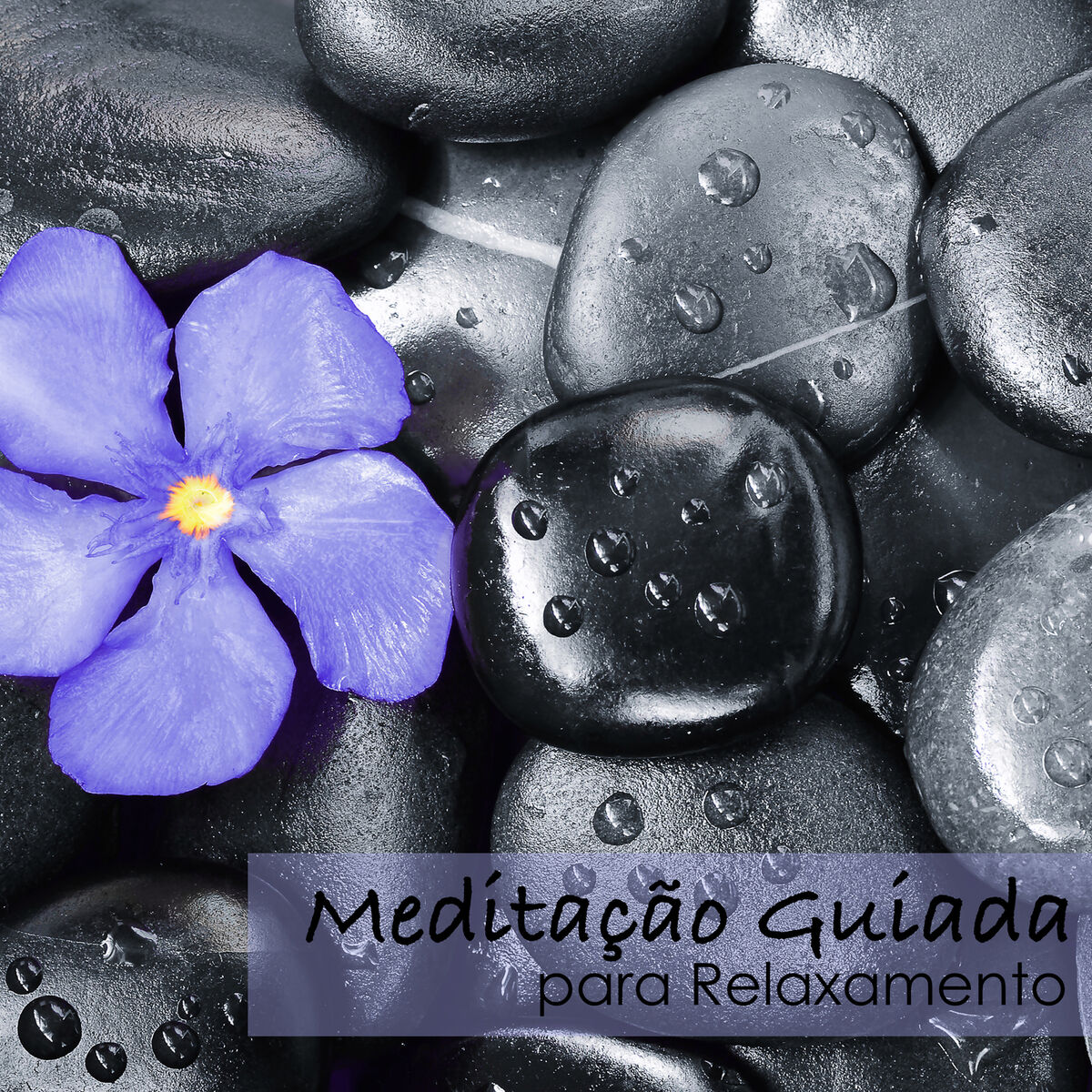 Album cover of Meditação Guiada para Relaxamento