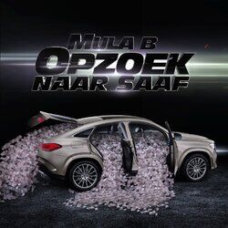 Cover of Opzoek Naar Saaf