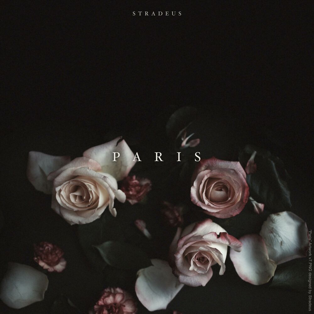 Picture of Paris