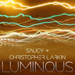Cover of Luminous