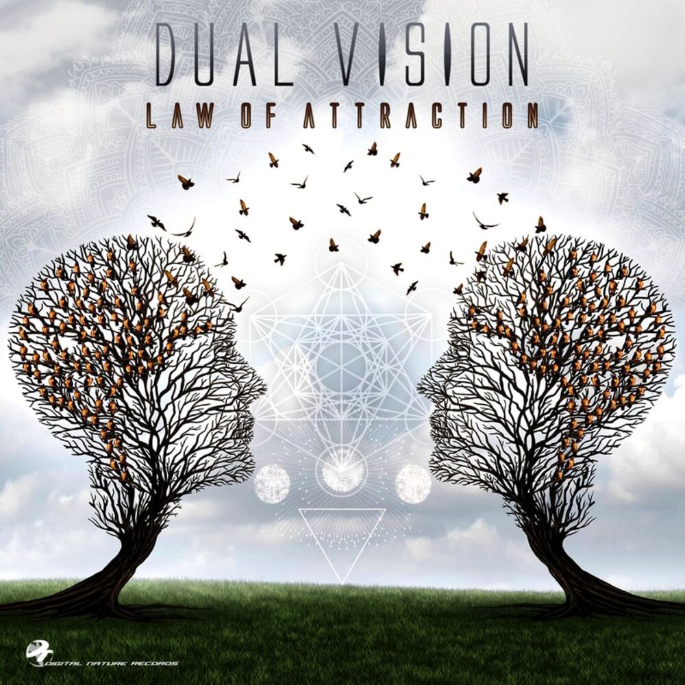 Picture of Law of Attraction