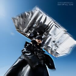 Cover of Get Off My Junk