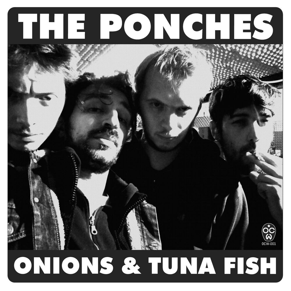 Picture of Onions & Tuna Fish