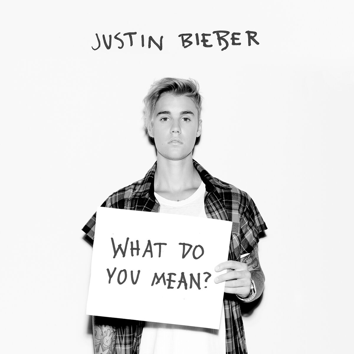 Album cover of What Do You Mean?