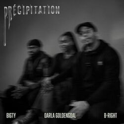 Cover of Précipitation