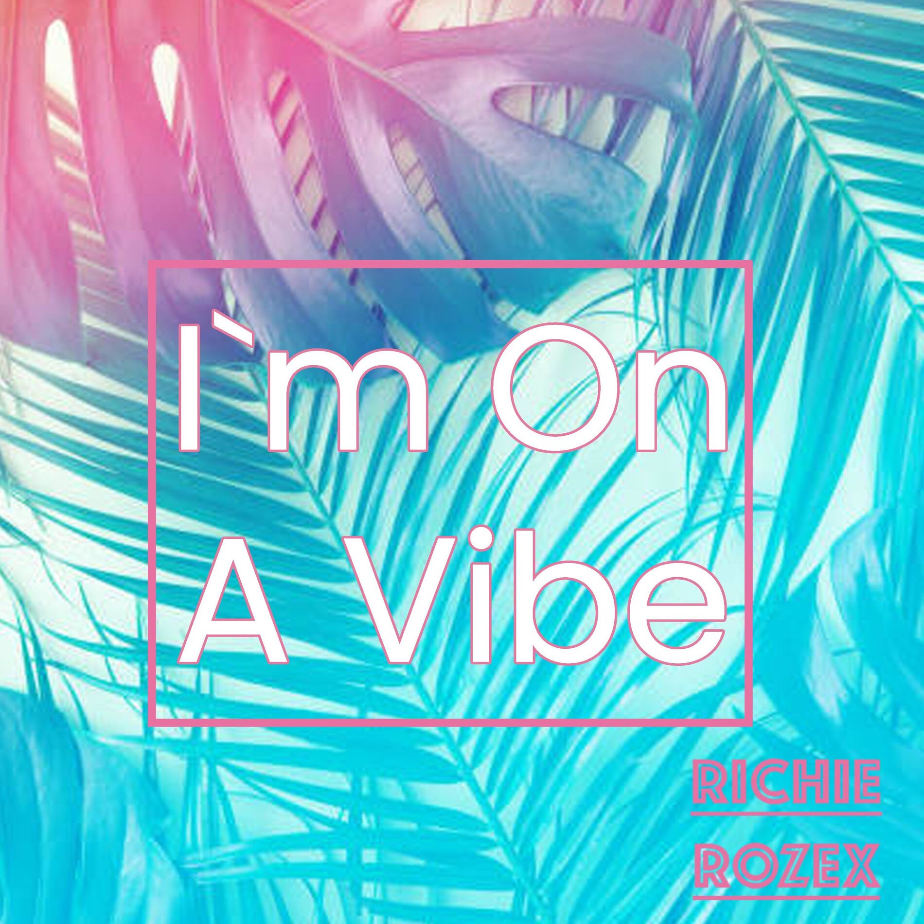Album cover of I'm On A Vibe