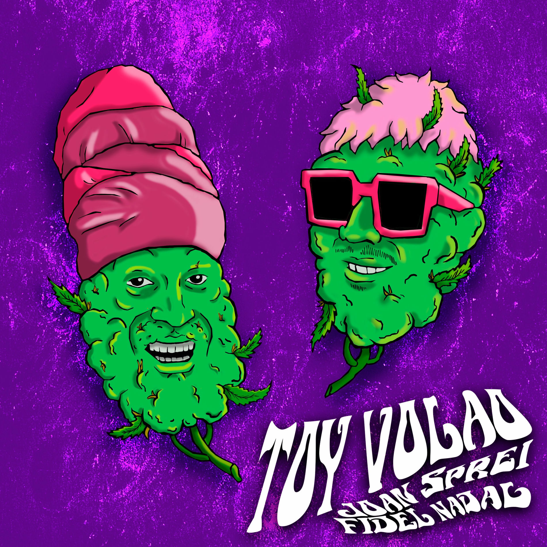 Album cover of Toy Volao