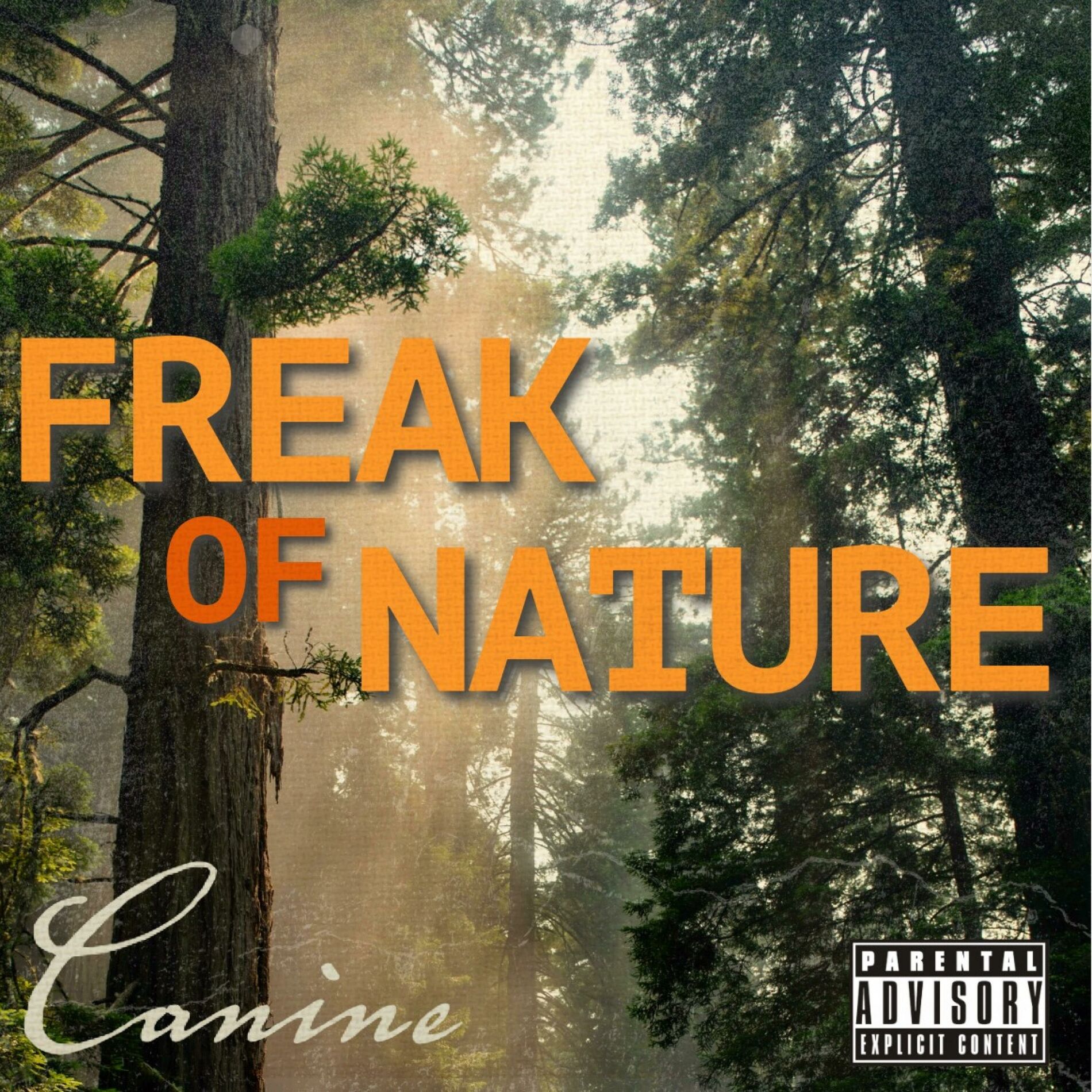Album cover of Freak of Nature
