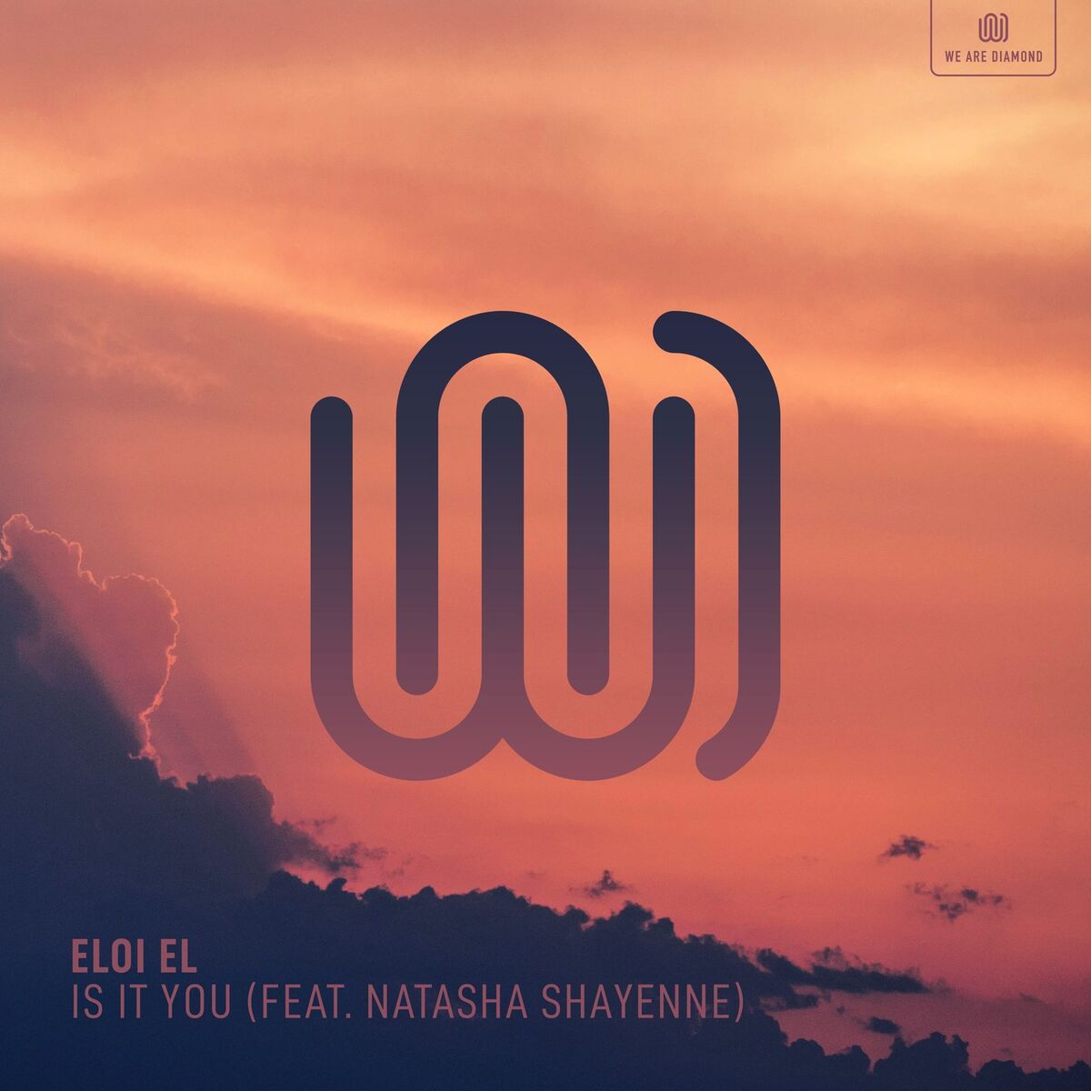 Album cover of Is It You