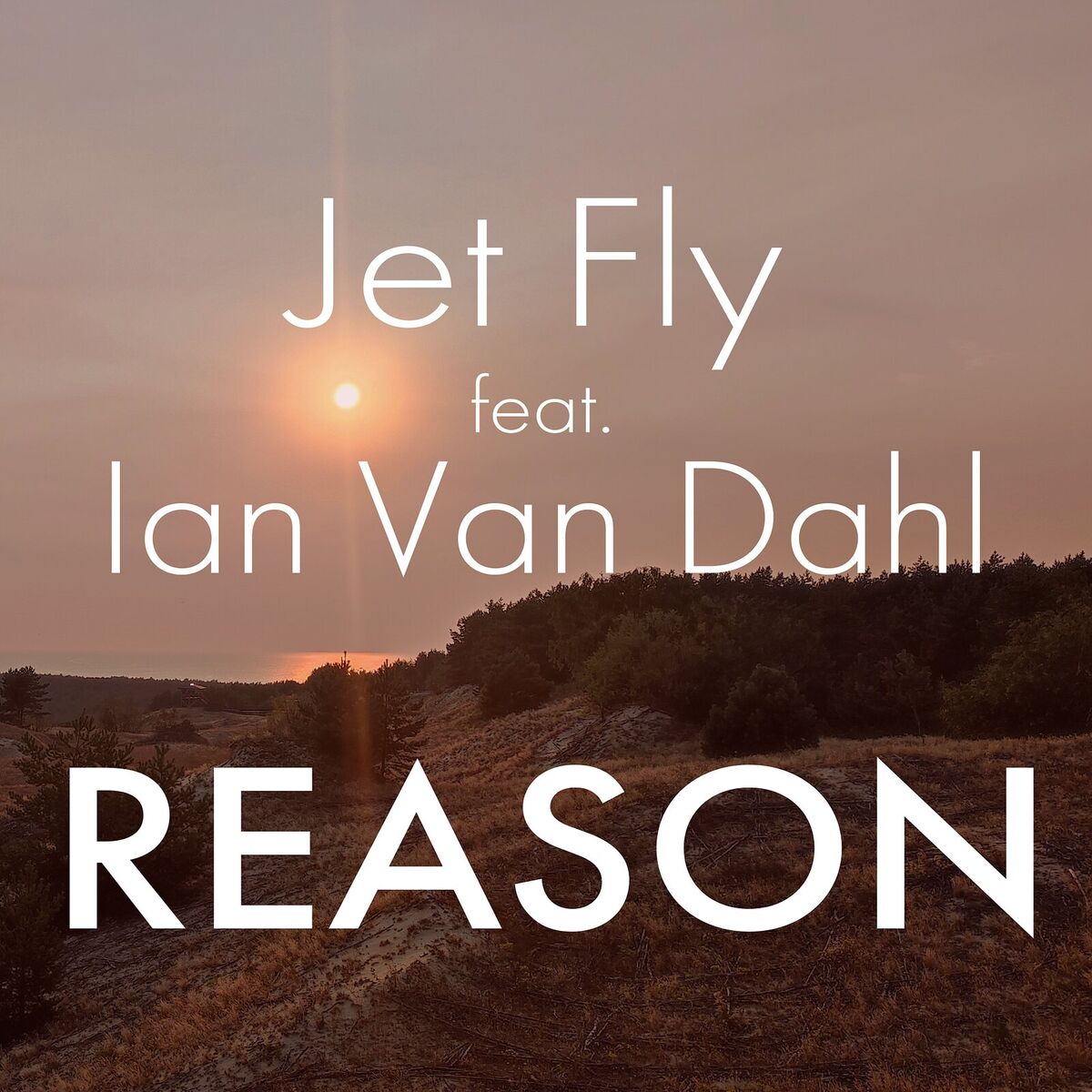 Album cover of Reason