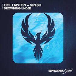 Cover of Drowning Under