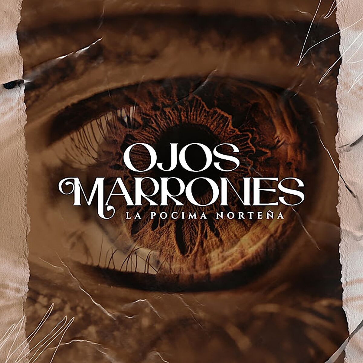 Album cover of Ojos Marrones