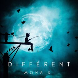 Cover of Différent