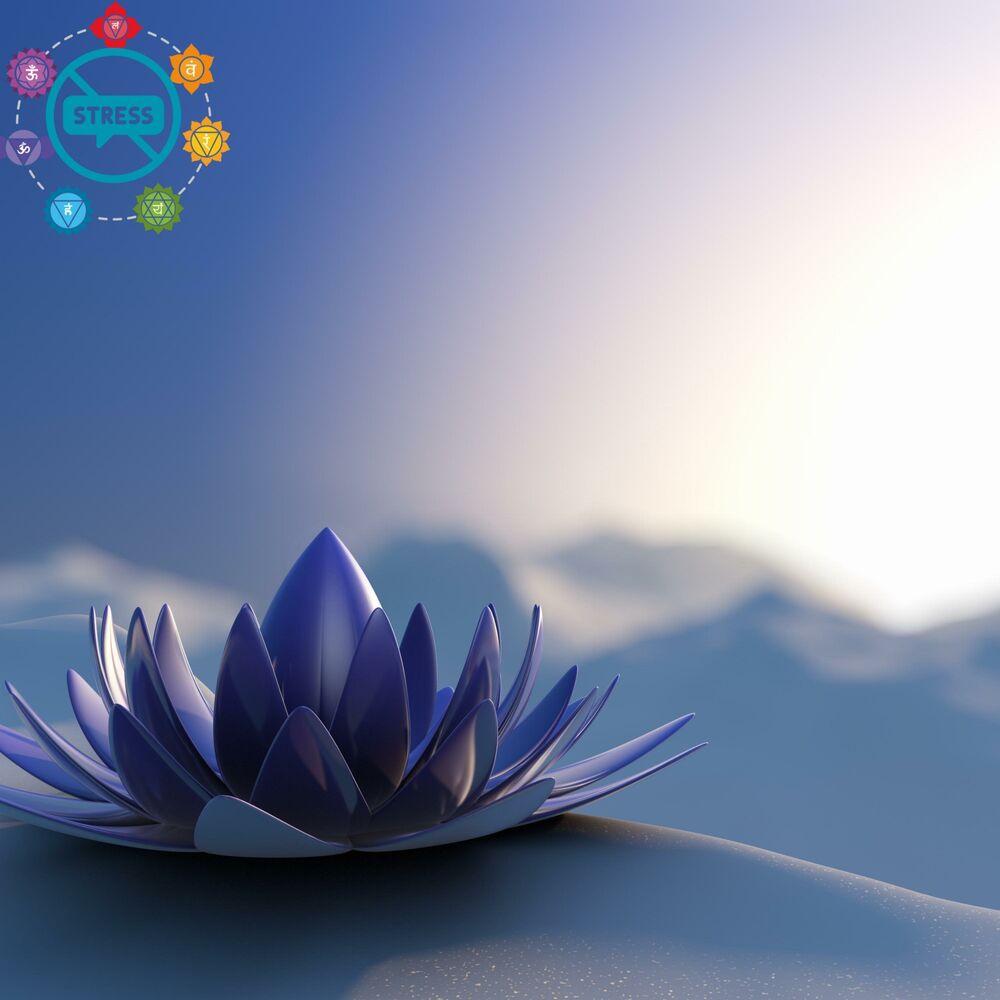 Picture of Serenity in the Zen Garden
