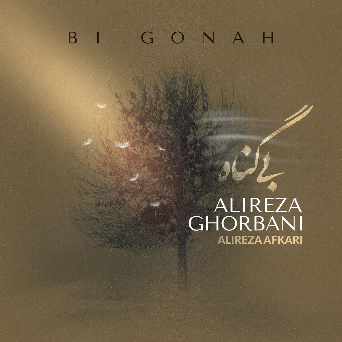 Album cover of Bi Gonah