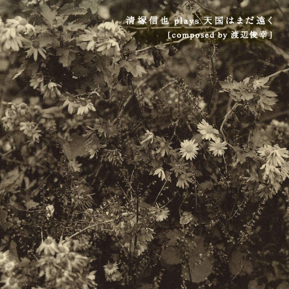 Picture of Shinya Kiyozuka Plays Tengoku Wa Mada Toku (Composed by Toshiyuki Watanabe)