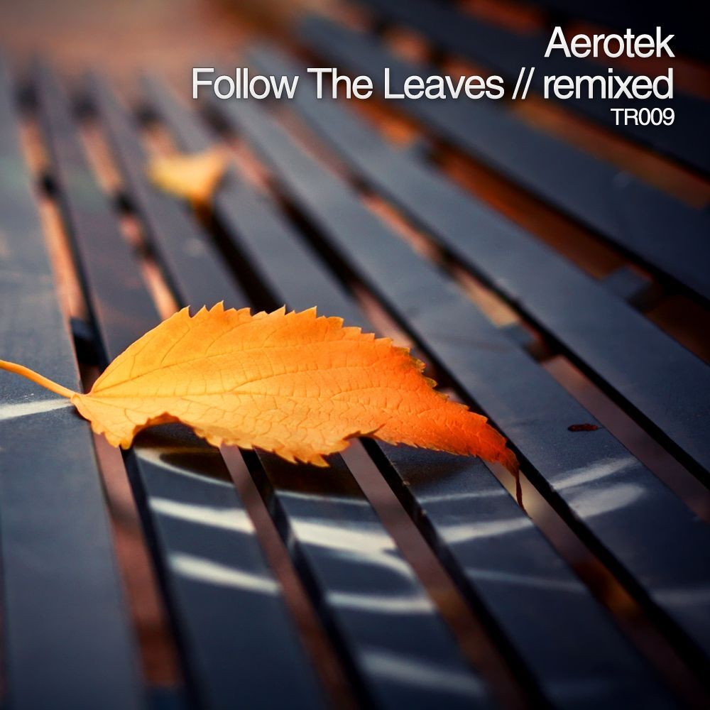 Picture of Follow The Leaves: Remixed