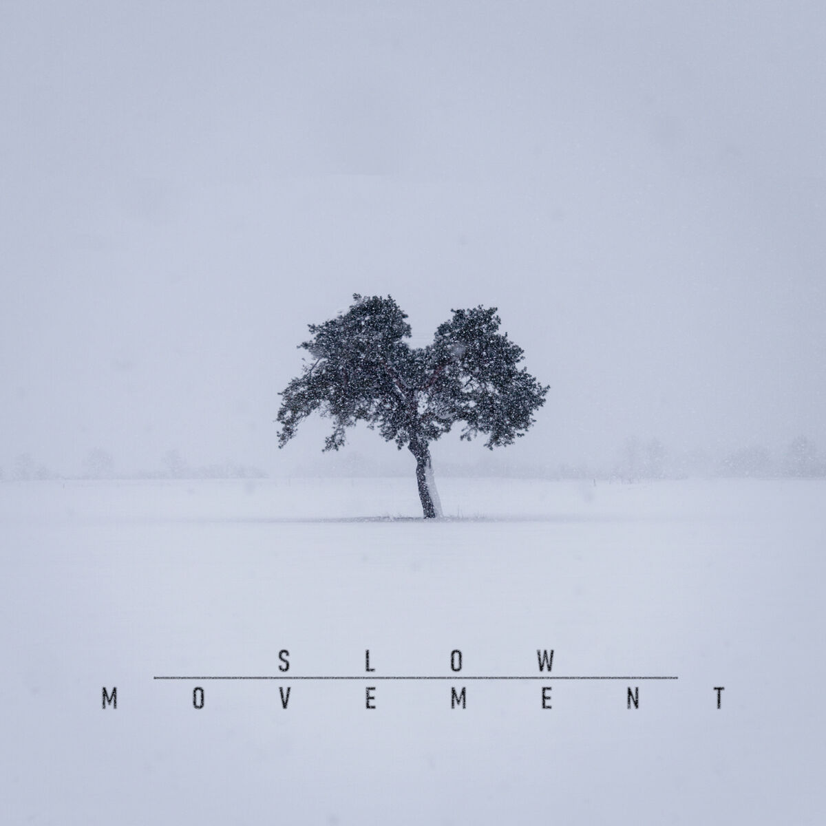 Album cover of Slow Movement