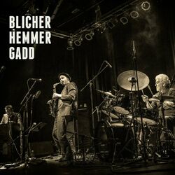 Cover of Blicher Hemmer Gadd