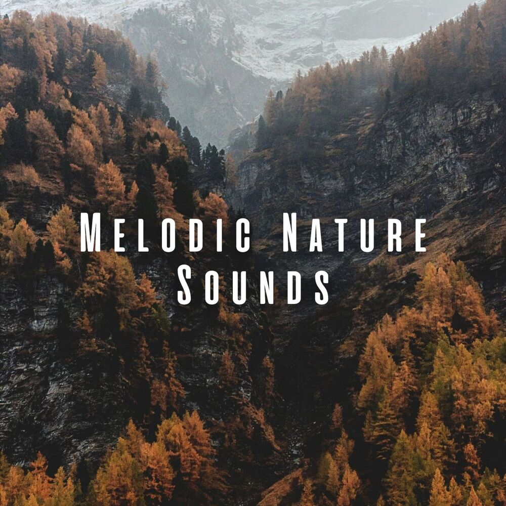 Picture of Melodic Nature Sounds