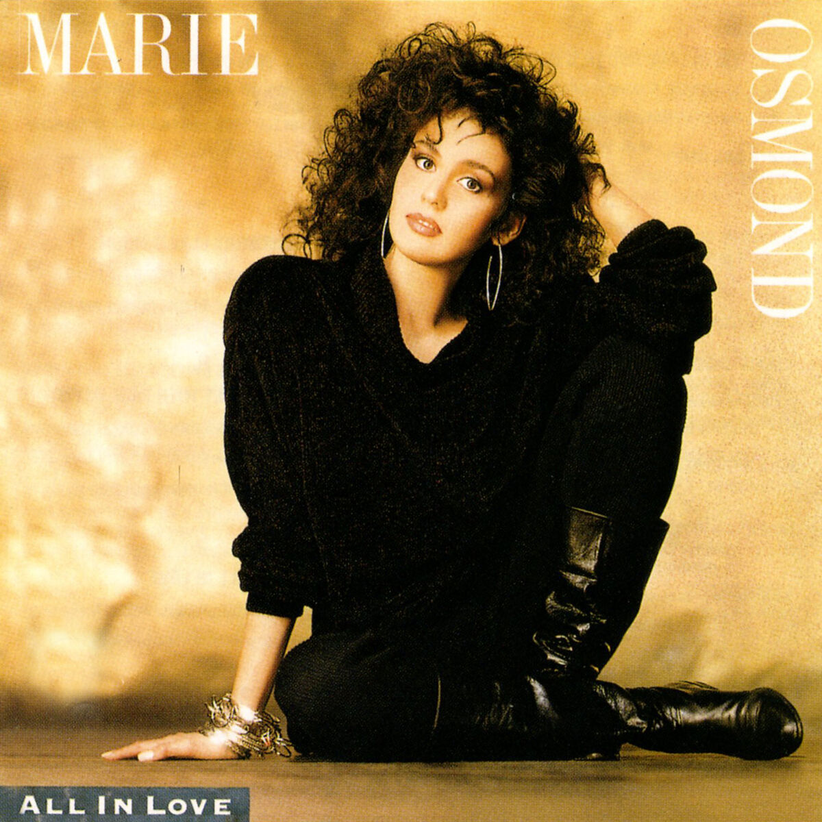 Album cover of All In Love