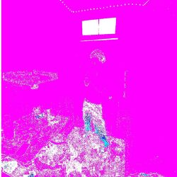 Cover of For Fun