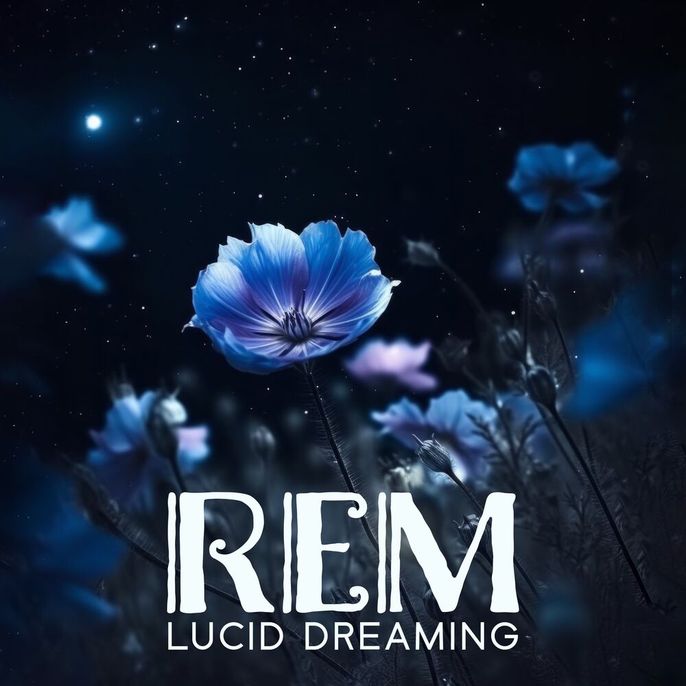 Picture of REM Lucid Dreaming: Healing Meditation Zone, Music for Deep Sleep