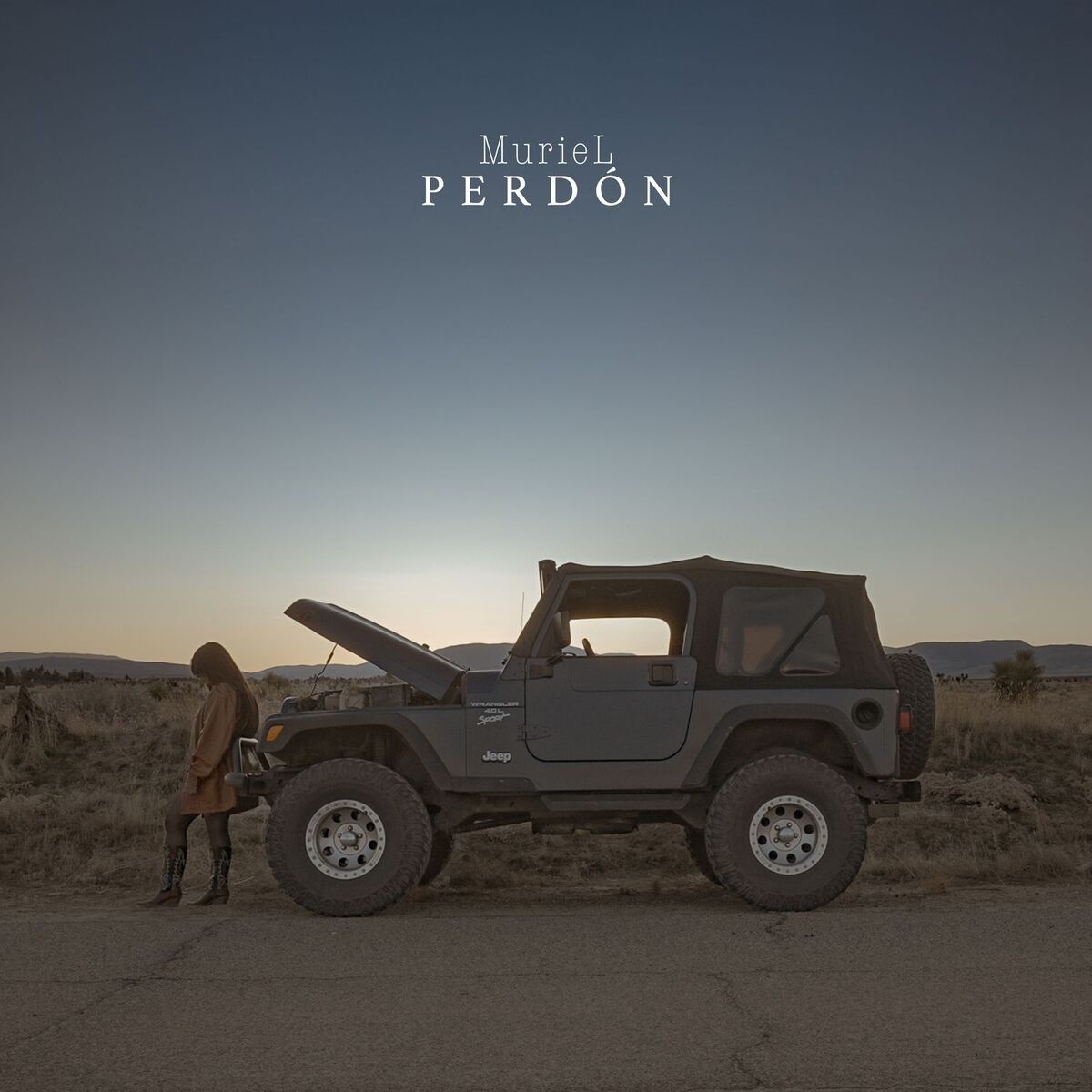 Album cover of Perdón