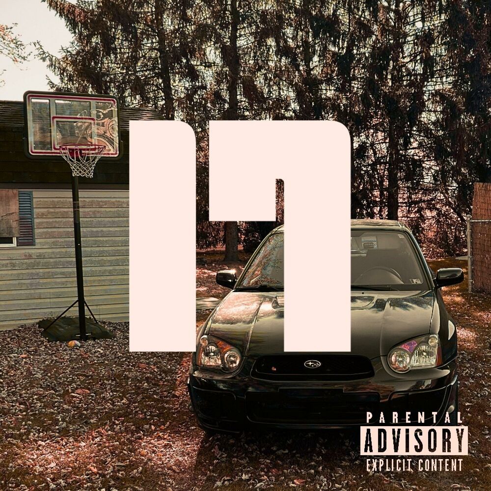 Picture of 17