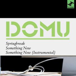 Cover of Springbreak / Something New