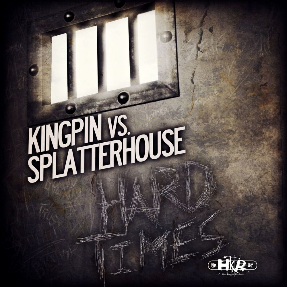 Picture of Hard Times