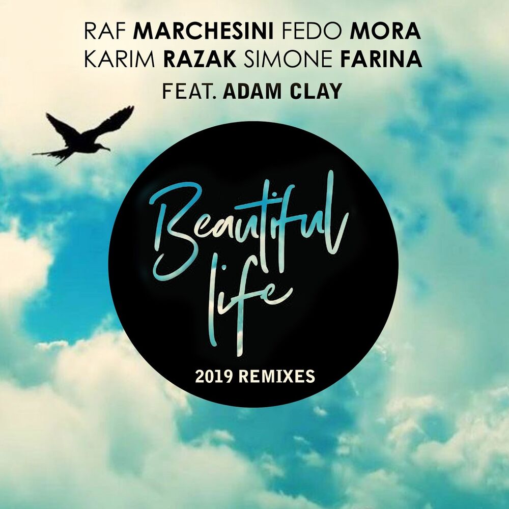 Picture of Beautiful Life - 2019 Remixes