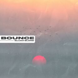 Cover of Bounce