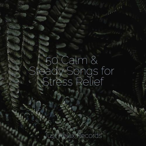 50 Calm & Steady Songs for Stress Relief