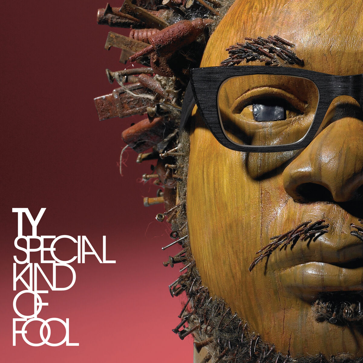 Album cover of Special Kind of Fool