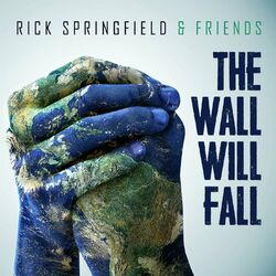 Cover of The Wall Will Fall
