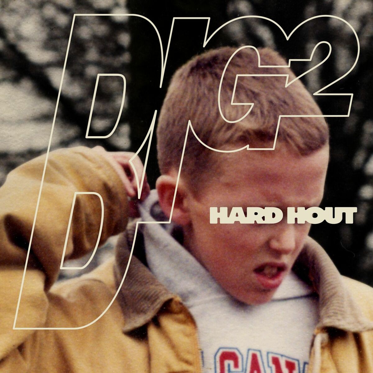 Album cover of Hard Hout