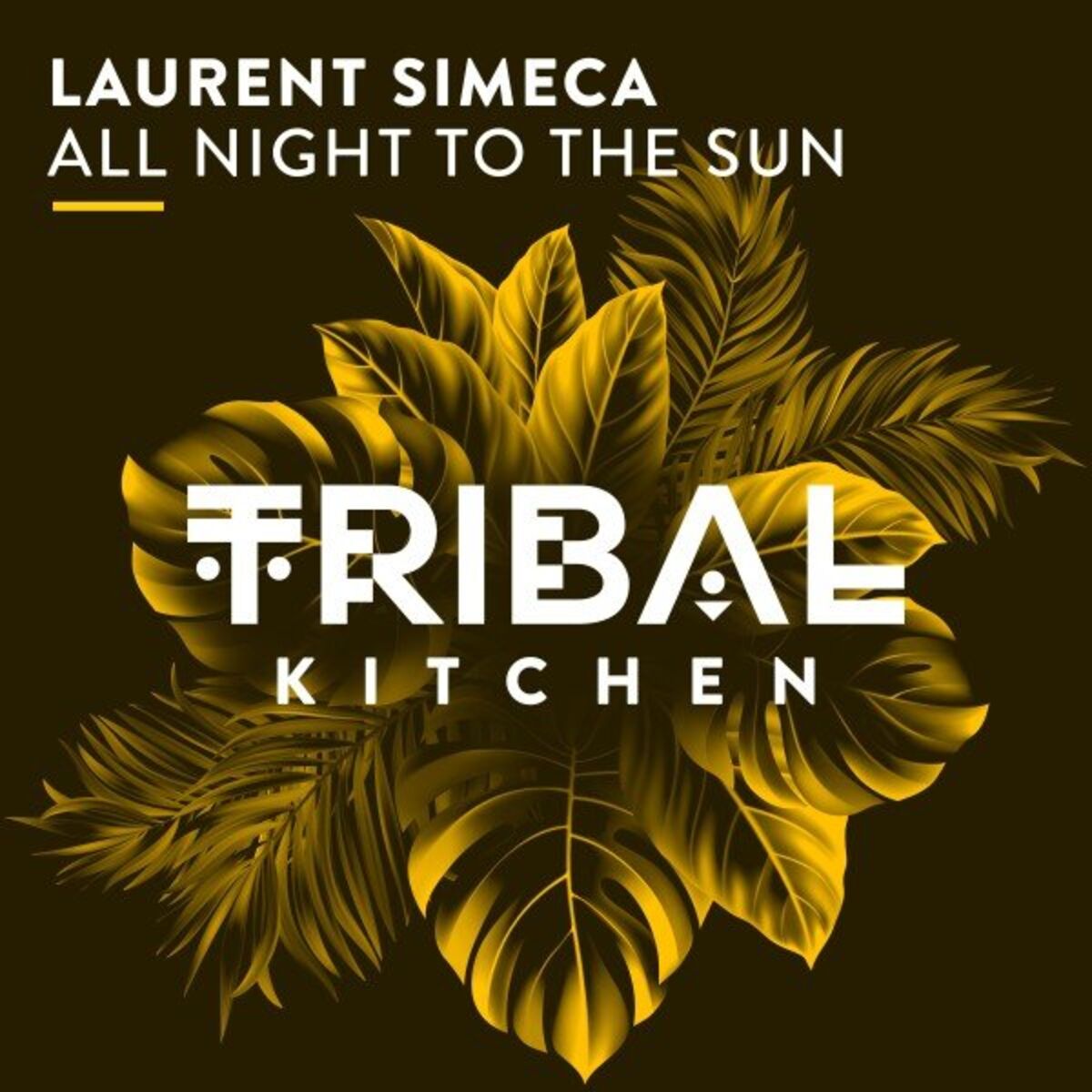 Album cover of All Night to the Sun
