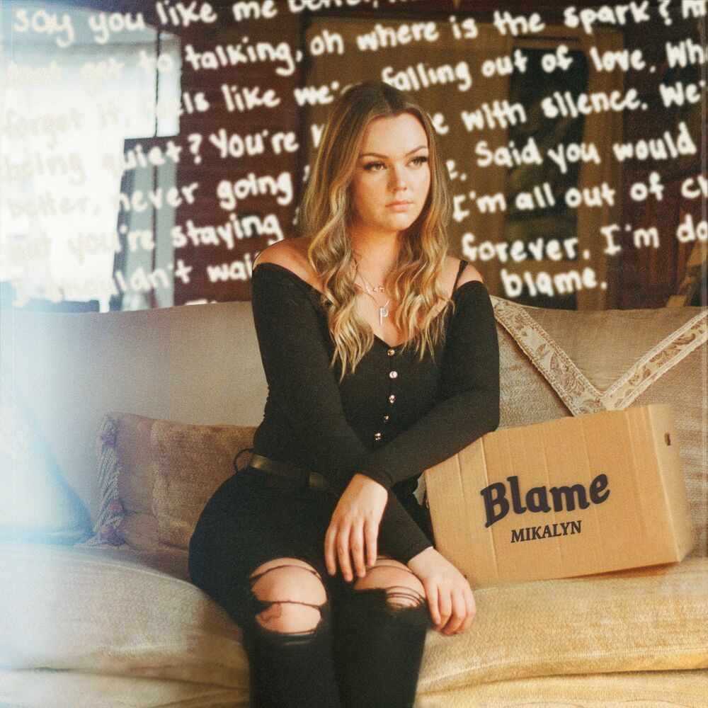 Picture of Blame