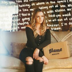 Cover of Blame