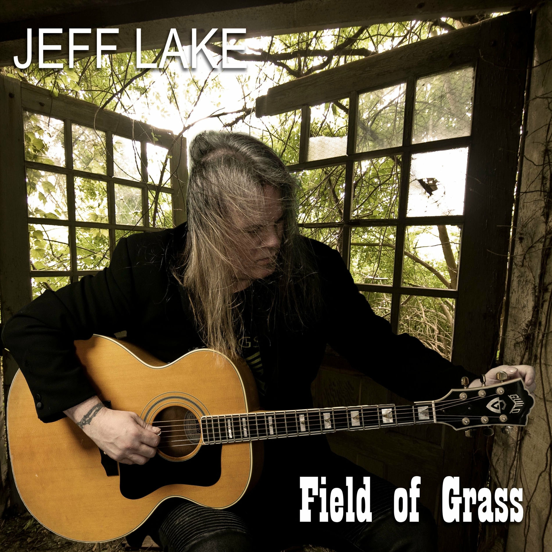 Album cover of Calico Skies