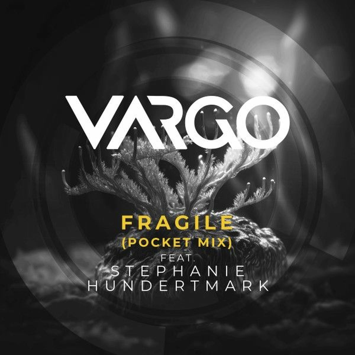 Album cover of Fragile (Pocket Mix)