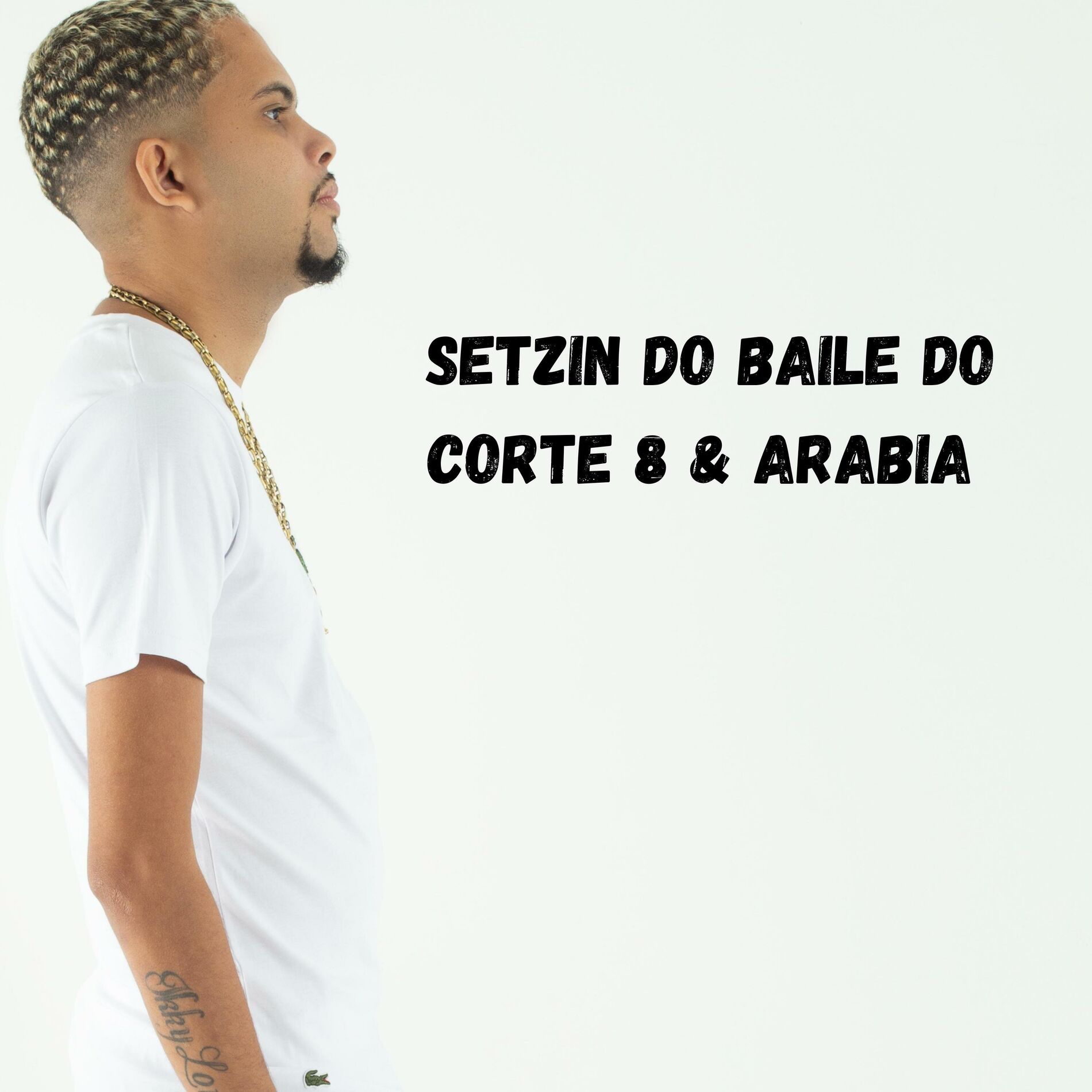 Album cover of SETZIN BAILE DO CORTE 8 & ARABIA