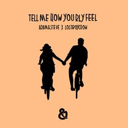 Cover of tell me how you rly feel