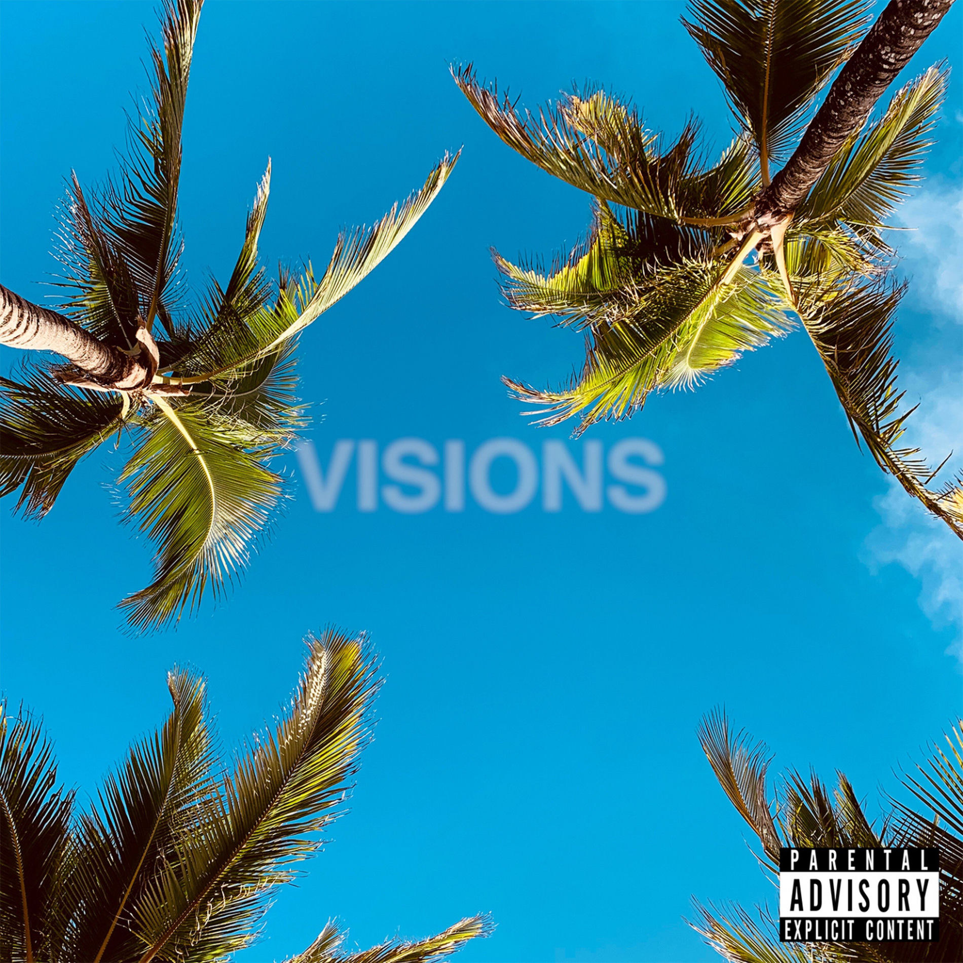 Album cover of Visions