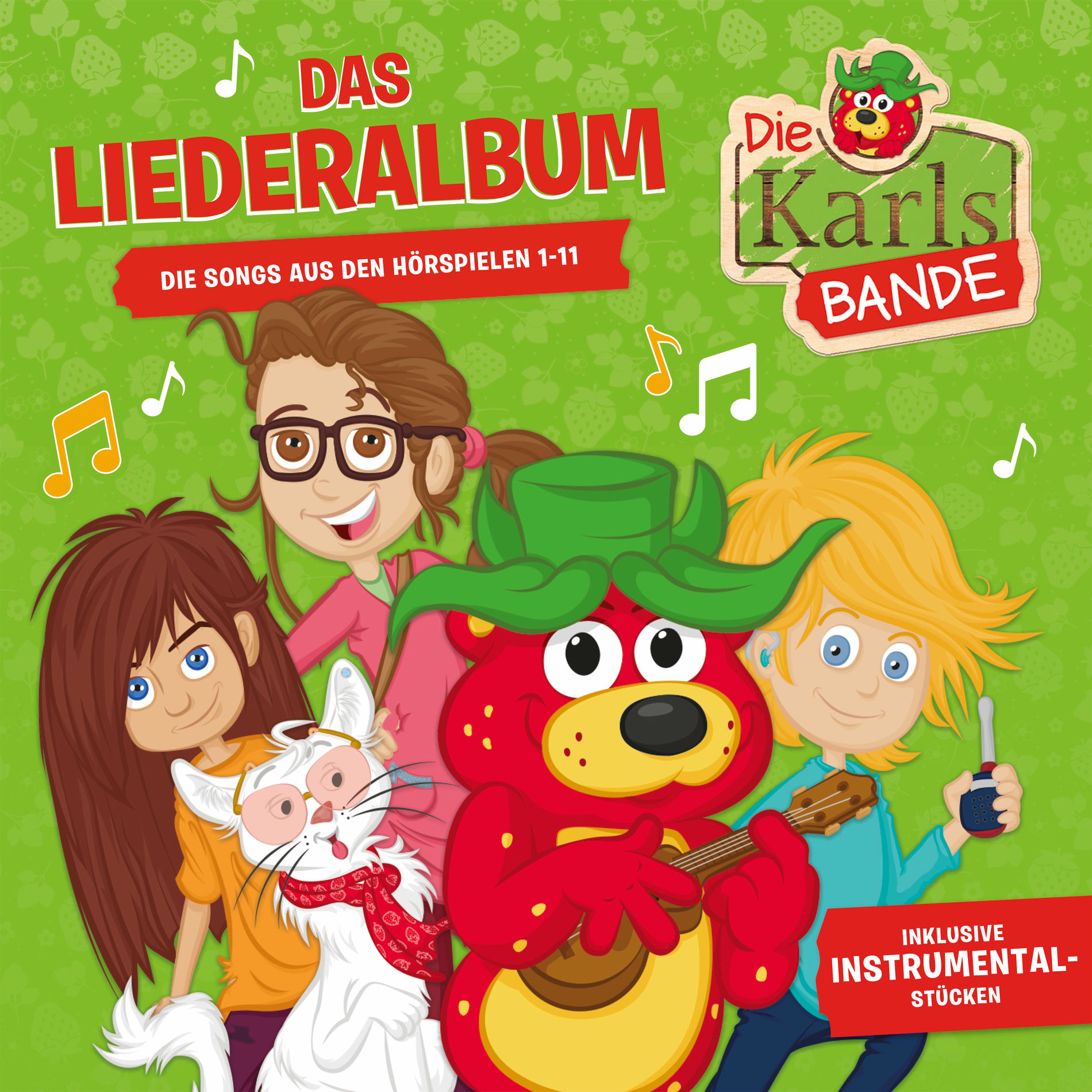 Album cover of Wir sind die Karlsbande