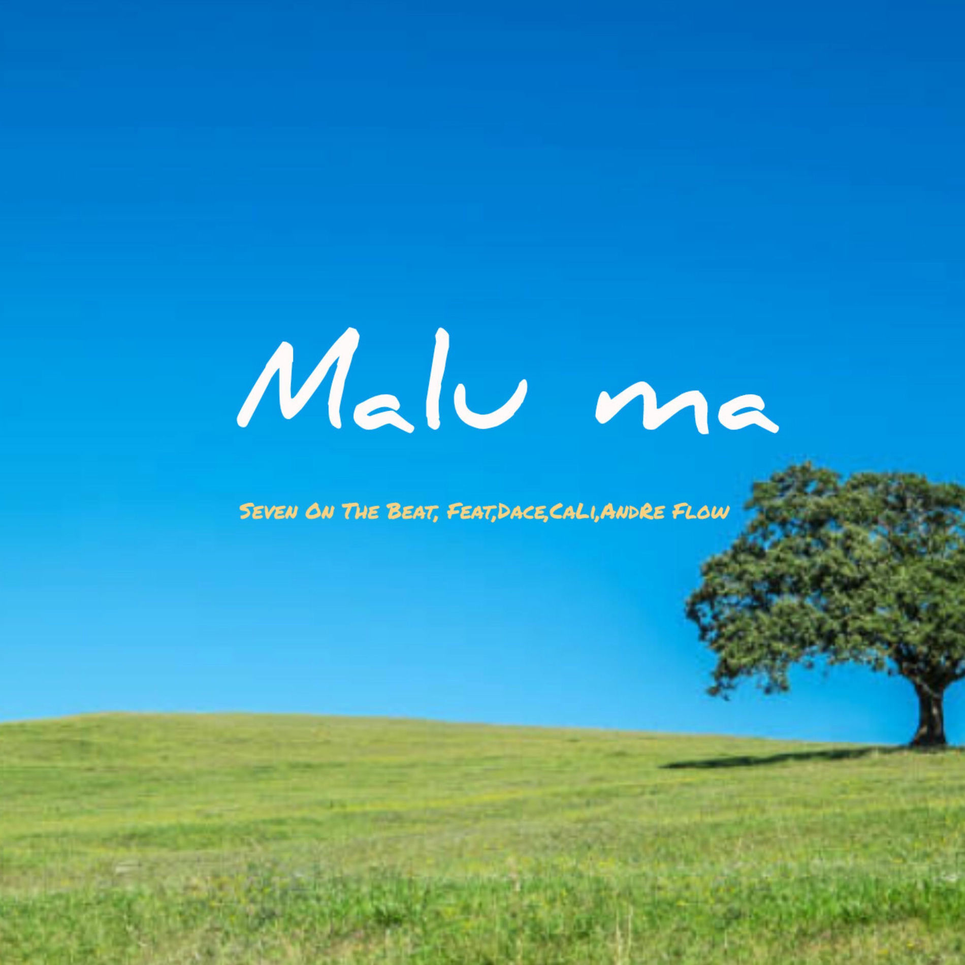 Album cover of Malu Ma