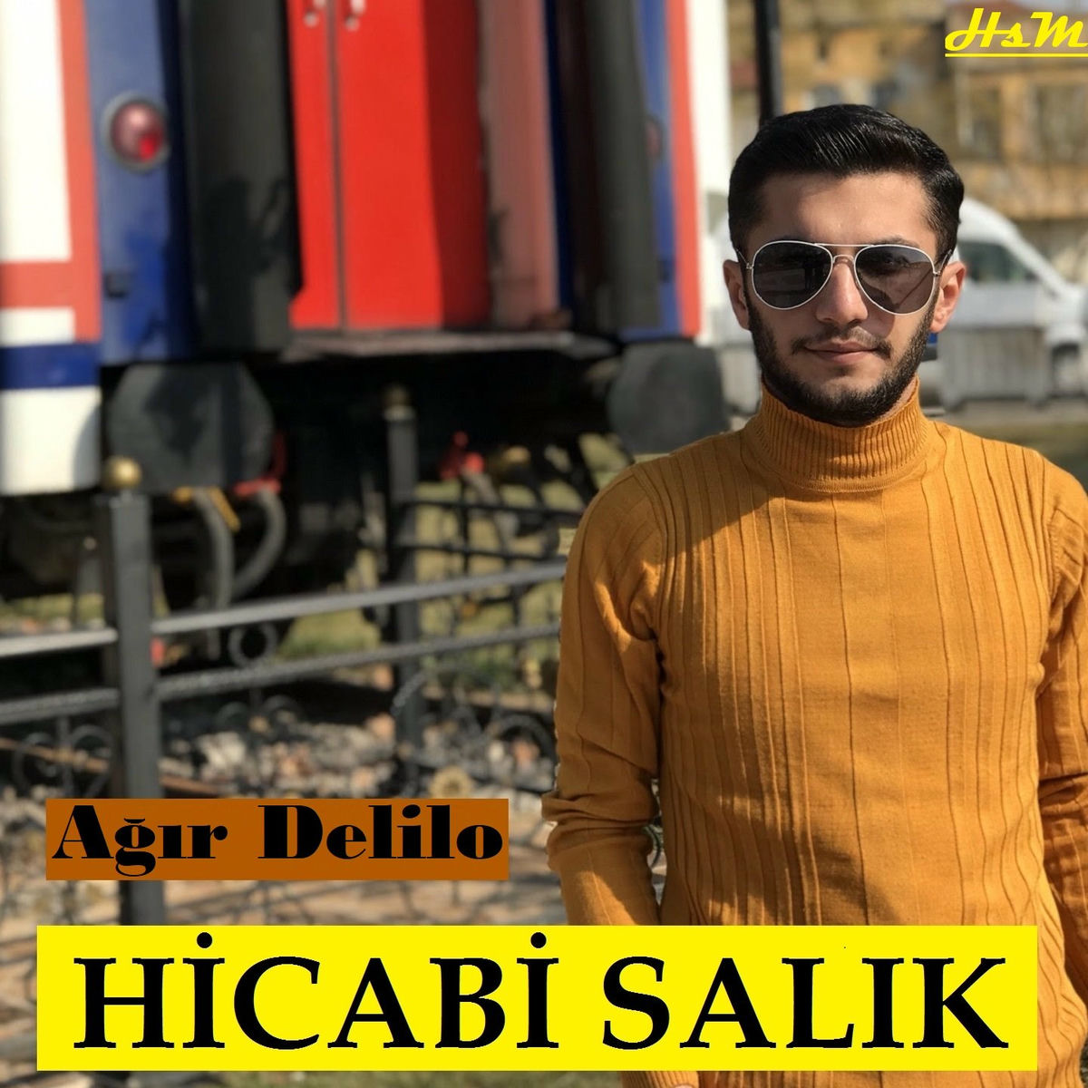 Album cover of Ağır Delilo