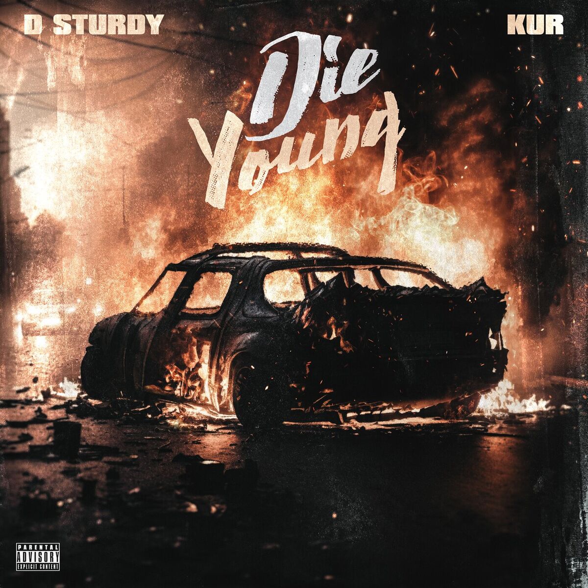 Album cover of Die Young